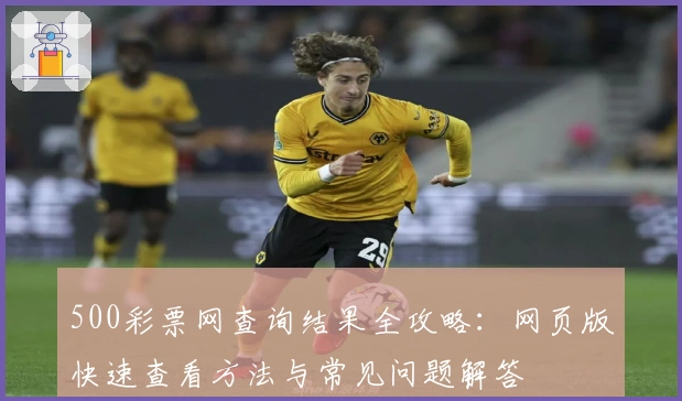 500彩票网查询结果全攻略：网页版快速查看方法与常见问题解答